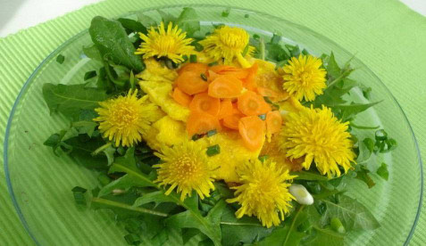 Proljetna salata