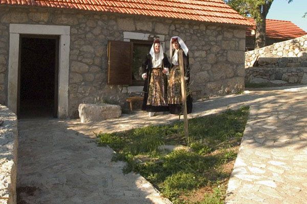 Vrgorke najotpornije prema raku dojke