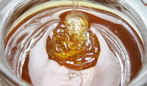 Ocat od meda