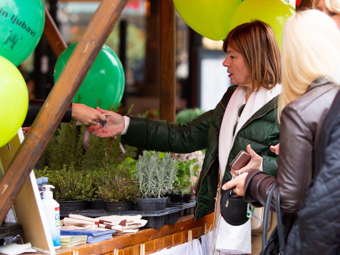 La Verna pružanjem podrške palijativnim bolesnicima i njihovim obiteljima na području grada Zagreba, ali i kroz brojne aktivnosti kojima nastoji unaprijediti razvoj palijativne skrbi u Hrvatskoj
