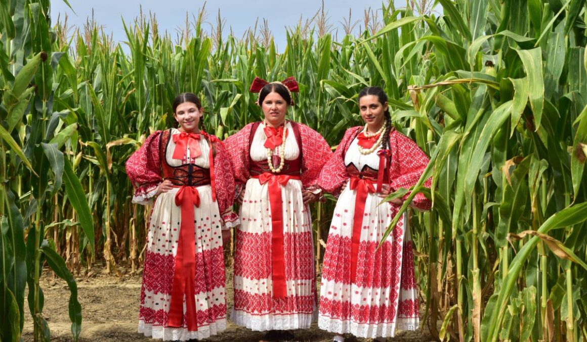 Posavski kukuruzni labirint, popularna turistička atrakcija smještena u okolici Ivanić-Grada, nominiran je za nagradu Green Destinations