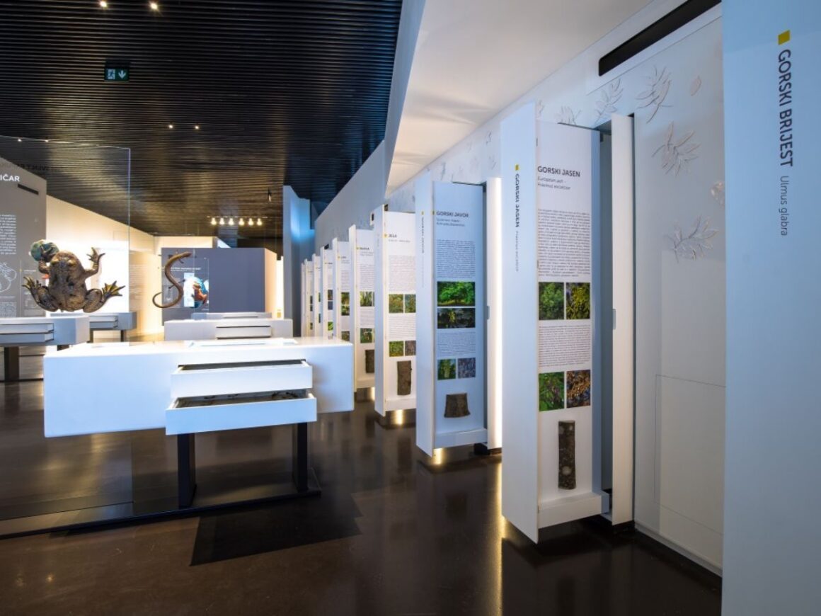 Park Prirode Papuk kao i destinacija Vrata Papuka pružaju nevjerojatno iskustvo za sve ljubitelje prirode.