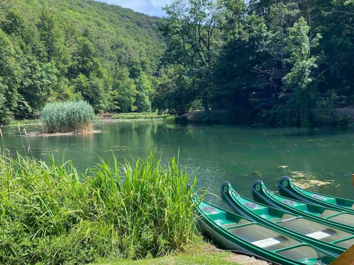 Park Prirode Papuk kao i destinacija Vrata Papuka pružaju nevjerojatno iskustvo za sve ljubitelje prirode.