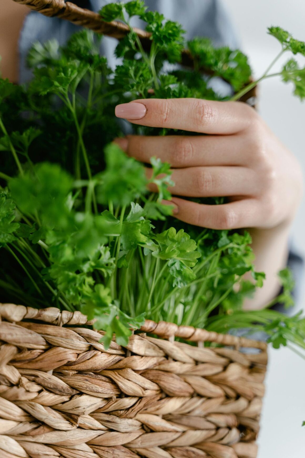 Vitamin C krije se i u začinskom bilju. Otkrijte 6 biljaka i začina koji obrocima dodaju okus, boju i nutritivnu vrijednost